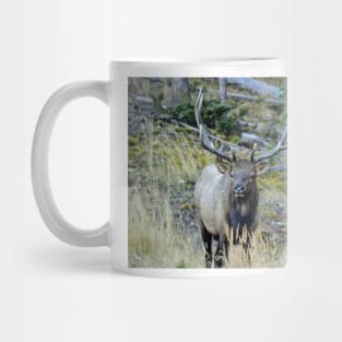 Elk Rut Mug